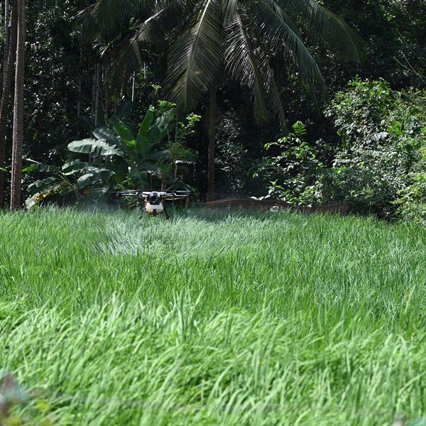 Agri Inputs
